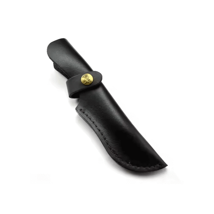 Knife holster